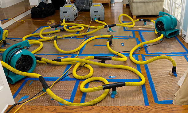 Professional Structural Drying And Dehumidification technician working in Spring Hill, FL